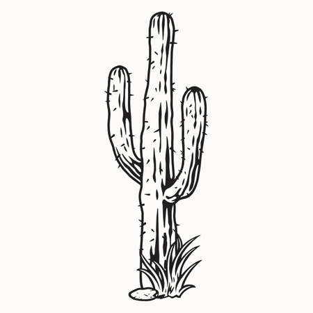 Tall prickly cactus in black and white colorsのイラスト素材