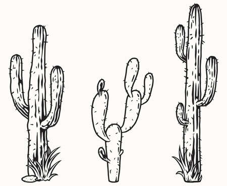 Monochrome collection of cactuses with thornsのイラスト素材