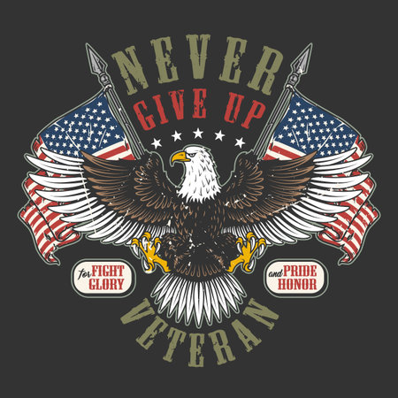 US veteran colorful poster vintage