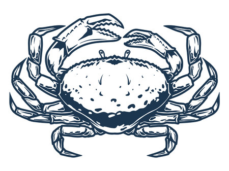 Ocean crab monochrome detailed emblemのイラスト素材