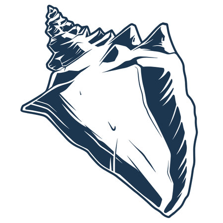 Empty seashell detailed monochrome stickerのイラスト素材