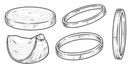 Onion rings elements monochrome setのイラスト素材