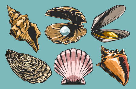 Ocean shells colorful set emblemsのイラスト素材