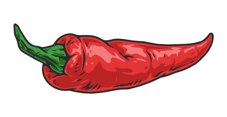 Chili red emblem colorful detailedのイラスト素材