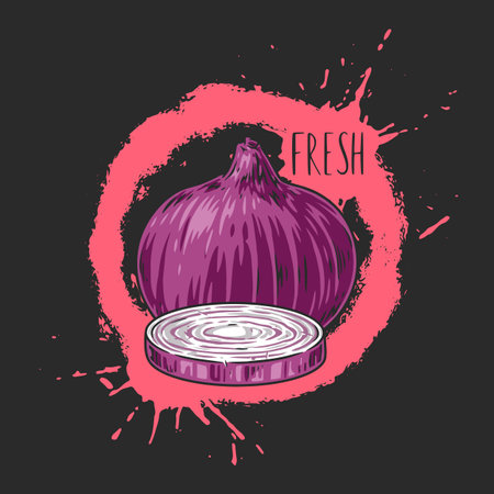 Red onion colorful detailed posterのイラスト素材