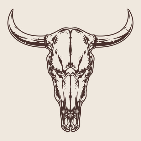 Bull skull vintage emblem monochromeのイラスト素材
