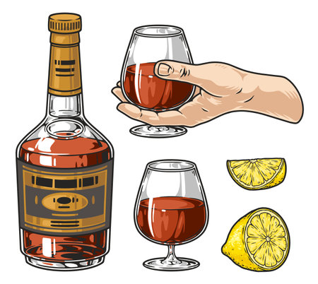 Cognac drink colorful set elementsのイラスト素材