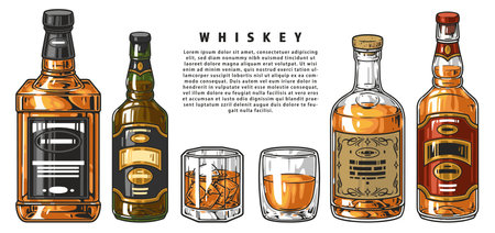 Whiskey drink colorful set labelsのイラスト素材