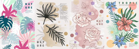 Exotic plants colorful set flyersのイラスト素材