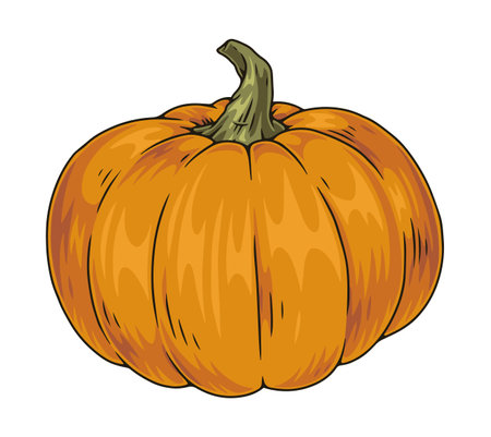 Organic pumpkin colorful detailed elementのイラスト素材