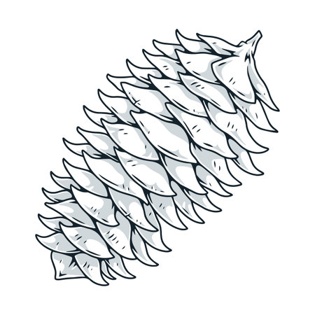 Fir cone monochrome vintage elementのイラスト素材