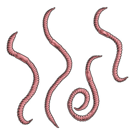 Worms in diverse shapes and sizes