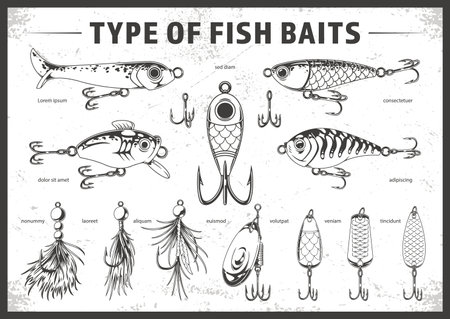 Different Types of Fish Baits for Anglersのイラスト素材