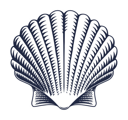 Intricate shell design with detailed ridgesのイラスト素材