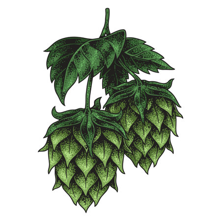Fresh hops ready for brewing flavorful beer
