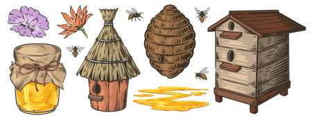Honey and bees in natureのイラスト素材