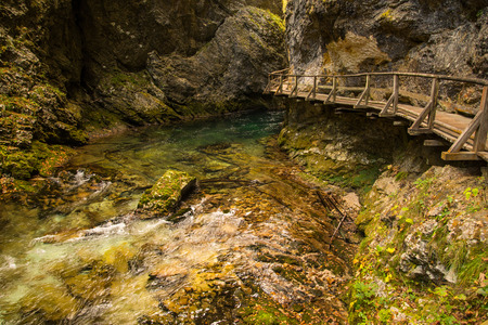 Gorgeの写真素材