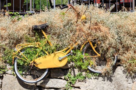 Old yellow rusty bicycle in italy. Rusty vintageの写真素材