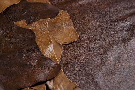 Natural cow leather samples in the tailoring workshopの写真素材