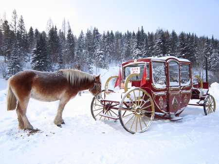 Horse sleigh on the snow landのeditorial素材