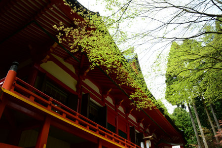HIEIZAN ENRYAKUJI temple in fresh green seasonのeditorial素材