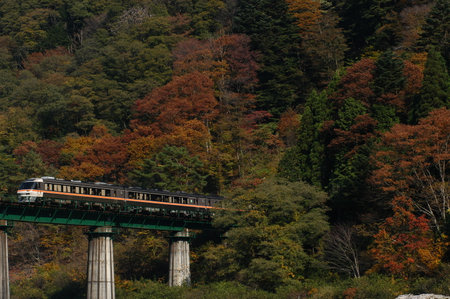 Limited express HIDA running on the Takayama Line in autumn colorsのeditorial素材