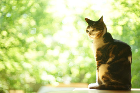 A tabby cat sitting against the background of fresh green