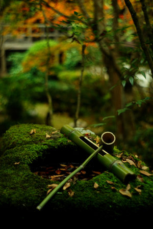 Kyoto Anrakuji temple in autumn leaves seasonの写真素材