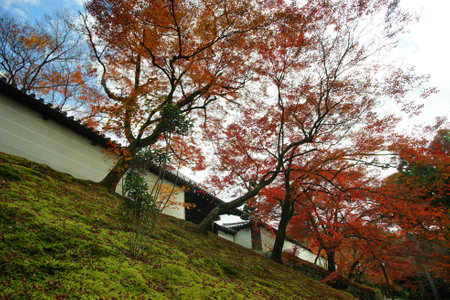 Kyoto Manshu-in temple in autumn leaves seasonのeditorial素材