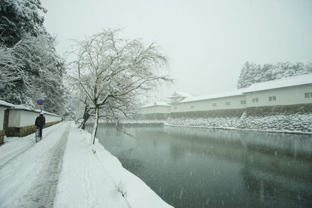 A snowy morning of HIKONE-JO castle, SHIGAの写真素材