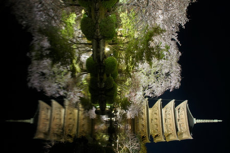 Night view of World Heritage, Kyoto TOJI temple in cherry blossom seasonのeditorial素材
