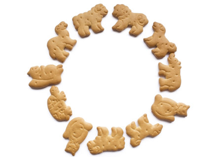 Animal cookies circle