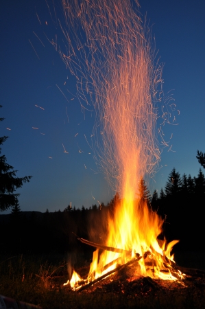 campfire in the forestの写真素材