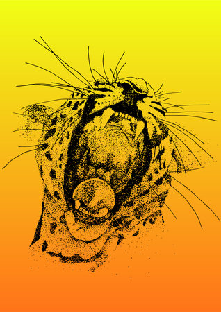 leopardのイラスト素材