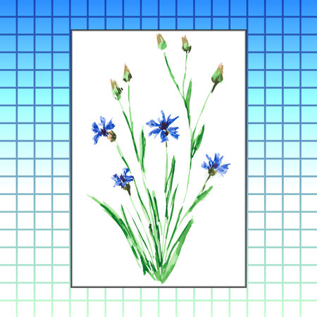 Wildflowers, watercolor on paper abstract backgroundのイラスト素材