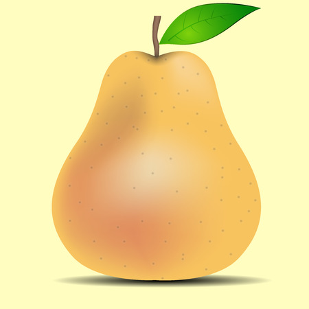 One pear on a yellow backgroundのイラスト素材
