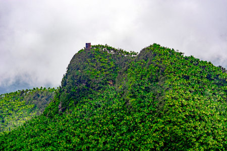 Britton Tower, Rio Grande Puerto Rico at El Yunqueの写真素材