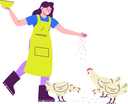 Feed Chickens with Rice Bran Illustration - Poultry Farmingのイラスト素材