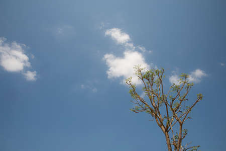 clear skyの写真素材