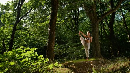 Attractive asian woman practicing yoga doing exercise balance working out in the forest Nature background Spiritual and emotional concept Outdoors lifestyle portrait Young sporty woman practicing yogaの写真素材