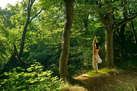 Back view woman practices yoga alone in the forest at sunrise Spiritual Travel Relaxation Lifestyle Concept. Harmony with nature. Young attractive asian woman practicing yoga, meditating aloneの写真素材