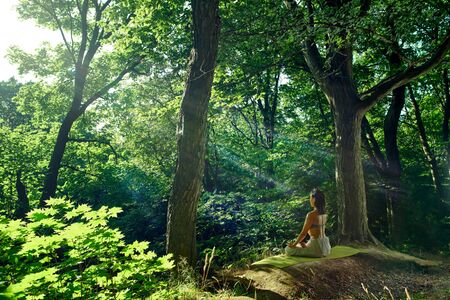 Young yoga asian woman coach meditates while practicing yoga in beautiful green forest. Freedom concept. Calmness and relax, woman happiness lifestyleの写真素材