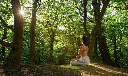 Shot of one young women doing yoga in the green sunrise forest. Fitness people sitting on the exercise mat and relaxing in lotus yoga position. Female model meditating in lotus pose turning backの写真素材