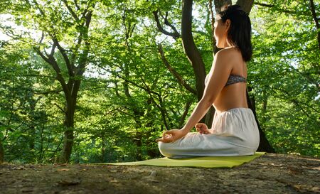Young attractive asian woman practicing yoga in the forest, Lotus pose with mudra gesture, working out. Happiness concept. A woman is meditating alone at dawn. Nature background. Back view.の写真素材