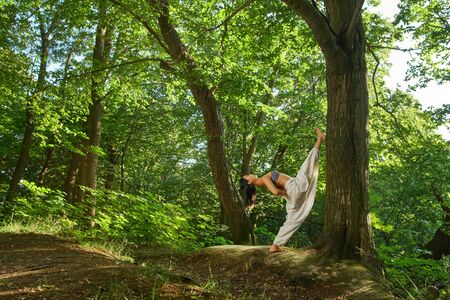 Young attractive asian woman practicing yoga, doing exercise with namaste, working out in the forest. Nature background. Spiritual and emotional concept. Sensitivity to nature. Harmony with nature.の写真素材