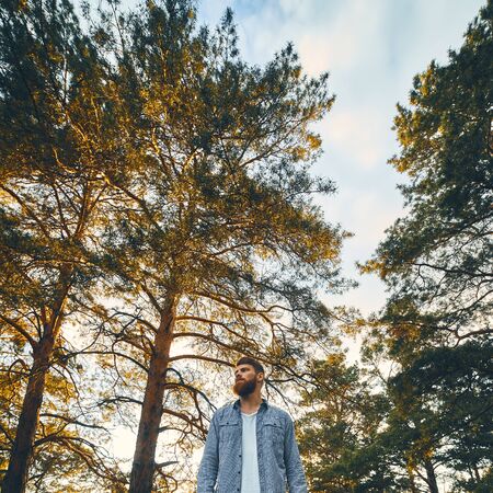 Lone man in forest. Young bearded man in the forest goes forward Square wide shot Bearded Man walking through a forest at sundown, with shades from the treesの写真素材