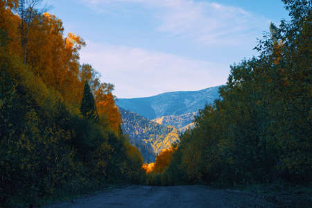 A rocky gravel road in the forest, around the mountains. Autumn, trees with yellow and green leaves. The concept of a healthy life and the way forward.の写真素材