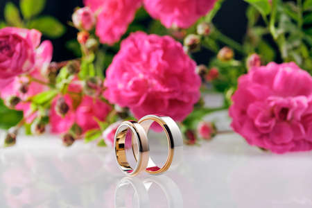 Two wedding rings and roses on whiteの写真素材