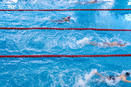 Young swimmers competition. Children swim in the pool. Motion Top viewの写真素材