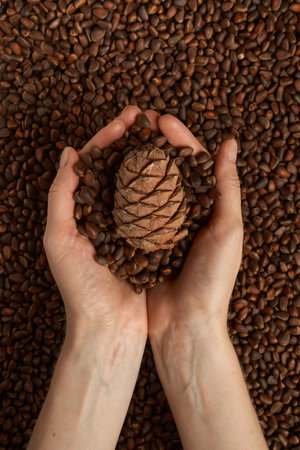 Woman holding shelled pine nuts and pine ripes, closeup, healthylife background concept.の写真素材